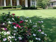 Landscape Services in Duluth and Johns Creek, GA