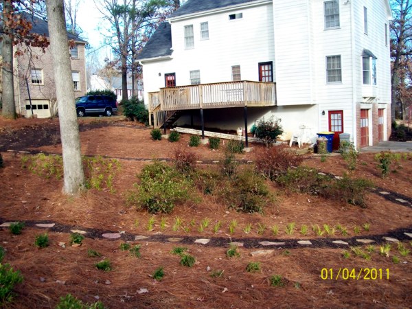 Landscaping Services in Roswell and East Cobb, Georgia