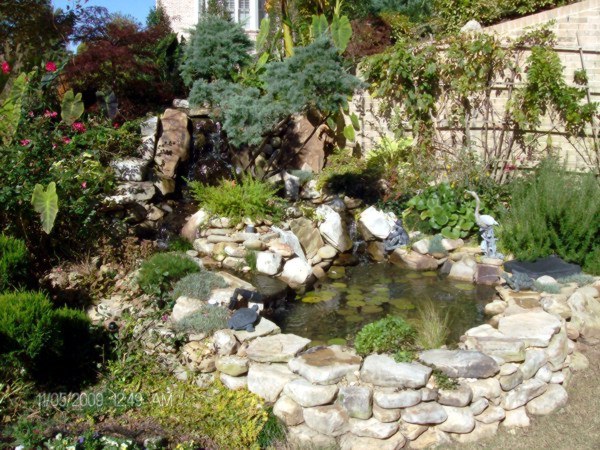 Pond Maintenance in Atlanta