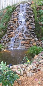 Waterfall in Atlanta backyard