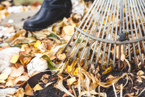 man raking leaves in Atlanta